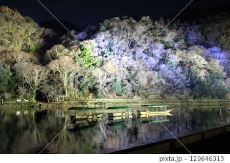 京都嵐山のライトアップ 京都嵐山のライトアップ 129646313
