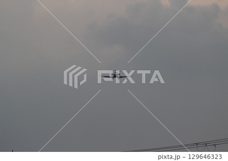 伊丹空港　千里川土手　 129646323