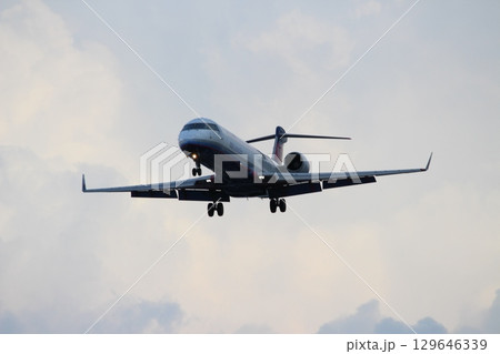 伊丹空港　千里川土手　 129646339