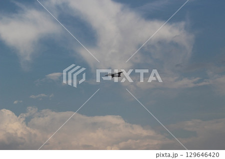 伊丹空港　大阪国際空港　千里川土手　着陸 129646420