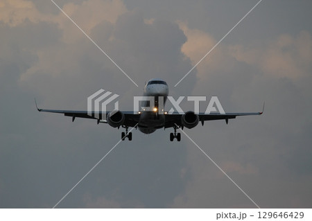 伊丹空港　大阪国際空港　千里川土手　着陸 129646429