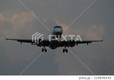 伊丹空港　大阪国際空港　千里川土手　着陸 129646430