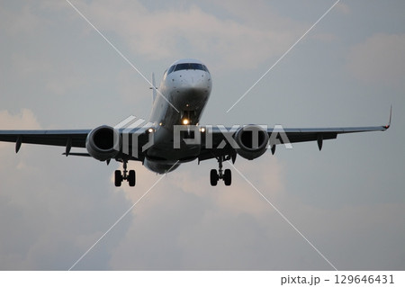 伊丹空港　大阪国際空港　千里川土手　着陸 129646431