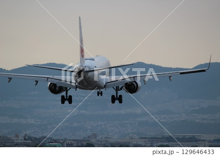伊丹空港 大阪国際空港 千里川土手 着陸 伊丹空港 大阪国際空港 千里川土手 着陸 129646433