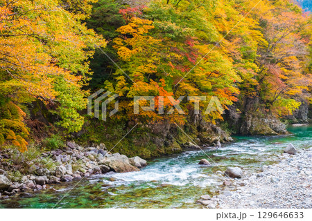 国道257号線沿い・馬瀬川の紅葉《赤梅橋からの眺望》 129646633