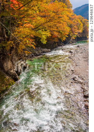 国道257号線沿い・馬瀬川の紅葉《赤梅橋からの眺望》 129646637