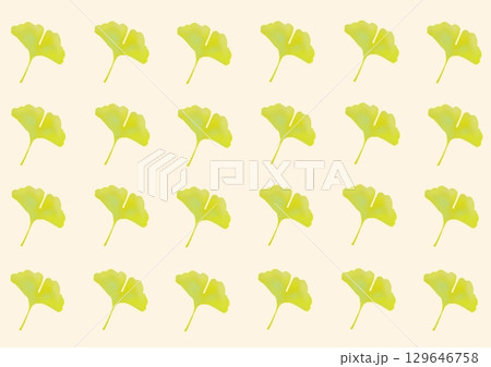 イチョウの壁紙 129646758