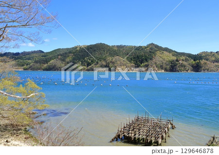 宮城県・石巻市・荻浜港 宮城県・石巻市・荻浜港 129646878