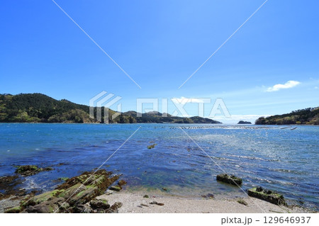 宮城県・石巻市・荻浜港 宮城県・石巻市・荻浜港 129646937