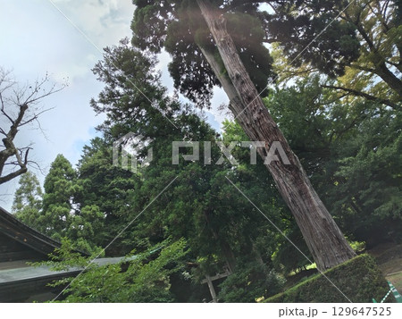 松尾寺 129647525