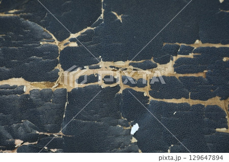 Abstract Leather Texture Macro shot 129647894