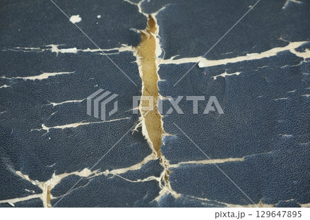 Abstract Leather Texture Macro shot 129647895
