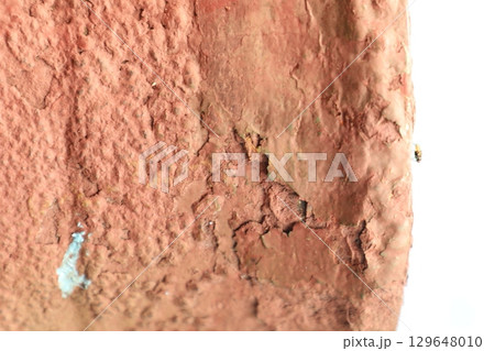Old Paint texture on a Vintage wall Old Paint texture on a Vintage wall 129648010