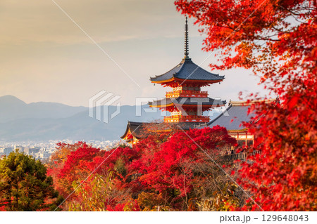 Beautiful sunset view of Kiyomizu dera temple with fall colors, Kyoto 129648043