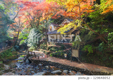 Beautiful autumn park along cascading Minoh waterfall, Osaka 129648052
