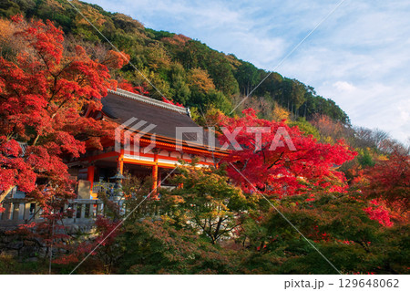Kiyomizu dera temple with maple leaf colors in autumn, Kyoto 129648062