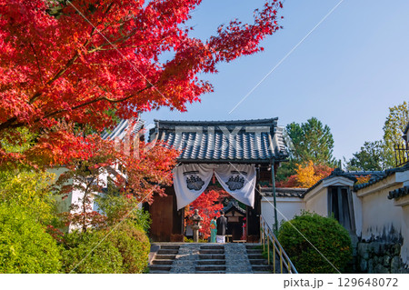 Japanese couple in kimono at Kenninji temple with autumn leaf, Kyoto 129648072