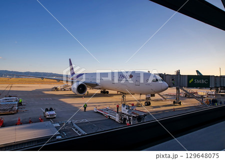 Thai airways aircraft at departure terminal of Kansai Airport, Osaka 129648075