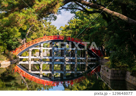 Drum Sori Bashi Bridge at fall, Sumiyoshi Taisha Shrine, Osaka 129648077