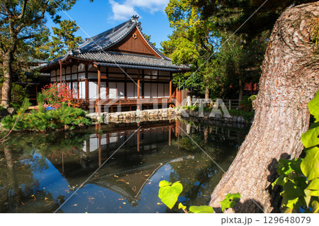 Sumiyoshi Taisha Saikan reflected in pond with blue sky in autumn, Osaka 129648079