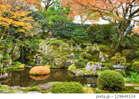 大原 実光院 契心園 美しい紅葉(京都府京都市左京区) 大原 実光院 契心園 美しい紅葉(京都府京都市左京区) 129648124