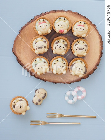 夏のスイーツ 動物クッキーとタルト 夏のスイーツ 動物クッキーとタルト 129648756