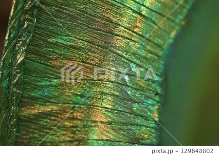 Peacock Feather Pattern Texture Background 129648802