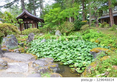 上杉神社 上杉神社 129648814