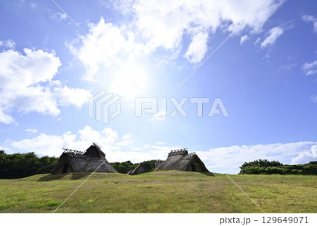 鳥取県立むきばんだ史跡公園 鳥取県立むきばんだ史跡公園 129649071
