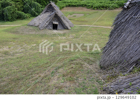 鳥取県立むきばんだ史跡公園 鳥取県立むきばんだ史跡公園 129649102