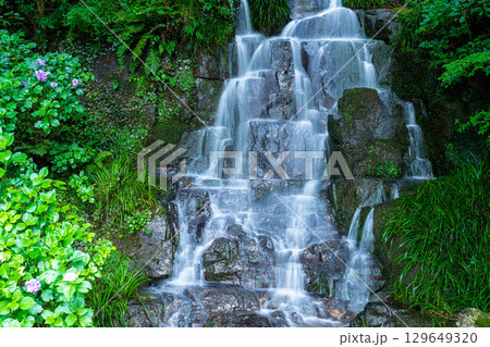 花と渓流の里公園(小滝) 下の滝と花咲くアジサイ4 岡山県津山市 花と渓流の里公園(小滝) 下の滝と花咲くアジサイ4 岡山県津山市 129649320