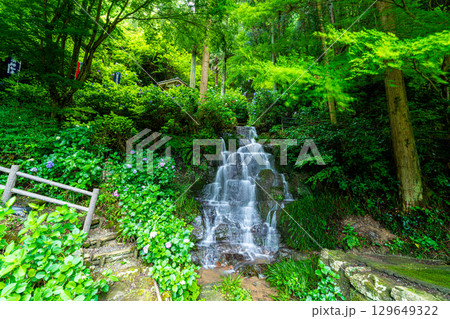 花と渓流の里公園(小滝) 岡山県津山市 花と渓流の里公園(小滝) 岡山県津山市 129649322