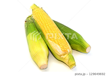 とうもろこし（わくわくコーン） 129649692