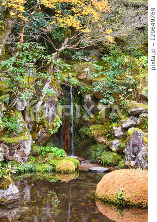 大原　実光院　契心園　美しい紅葉（京都府京都市左京区） 129649769