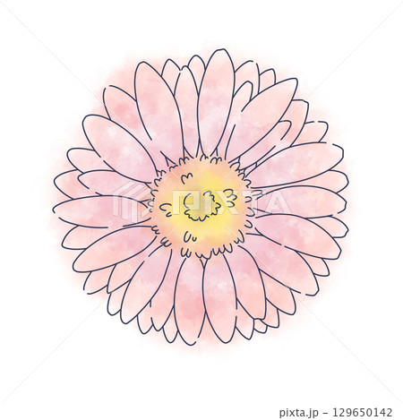 明るい赤のガーベラ水彩素材 明るい赤のガーベラ水彩素材 129650142