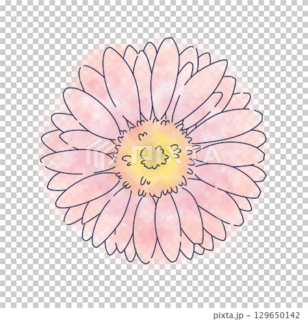 明るい赤のガーベラ水彩素材 明るい赤のガーベラ水彩素材 129650142