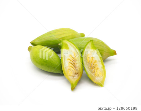 アチョクチャ（カイグア） 129650199