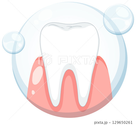 Healthy Tooth and Gums in Clean Bubble Icon Healthy Tooth and Gums in Clean Bubble Icon 129650261