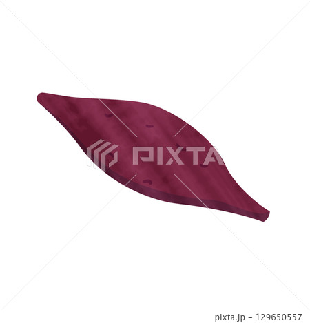 さつまいも（水彩風） 129650557