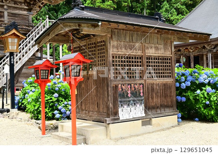 アジサイが満開 音羽山 清水寺 129651045