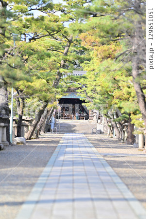 御香宮神社 129651051