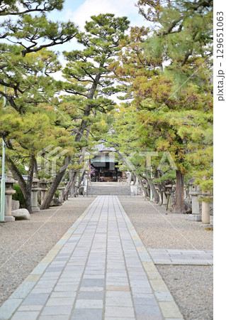 御香宮神社 129651063
