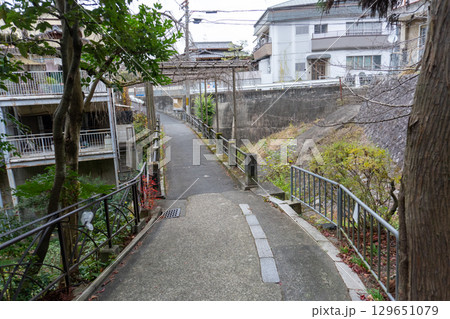 京都一周トレイルとその周辺の景色 京都一周トレイルとその周辺の景色 129651079