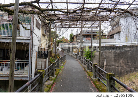 京都一周トレイルとその周辺の景色 京都一周トレイルとその周辺の景色 129651080