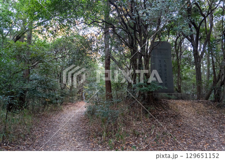 京都一周トレイルとその周辺の景色 129651152