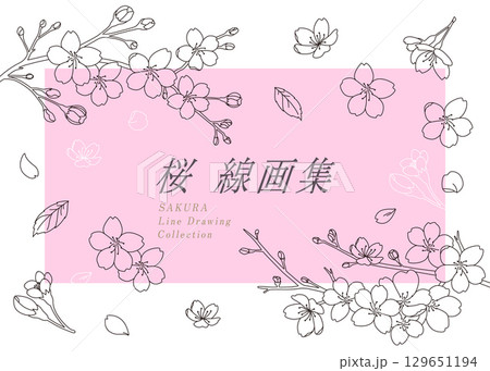3月〜4月　桜　線画　フレーム風　セット 129651194
