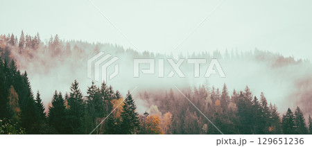 Fog in autumn mountains. Foggy day in autumn forest. Amazing autumn forest with vibrant colours foliage. Autumnal misty landscape. Carpathian mountains landscape, Ukraine. November landscape. 129651236