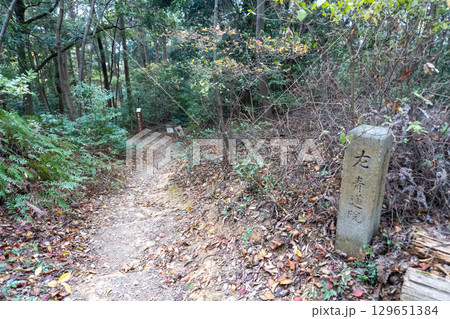京都一周トレイルとその周辺の景色 129651384