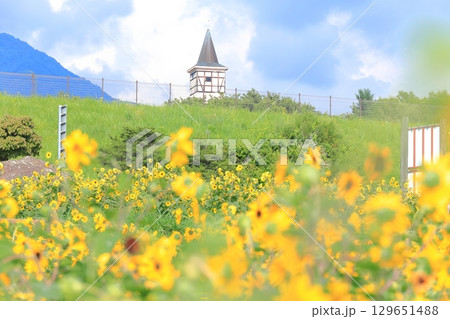 山梨県北杜市　明野ひまわり畑から望むハイジの村 129651488