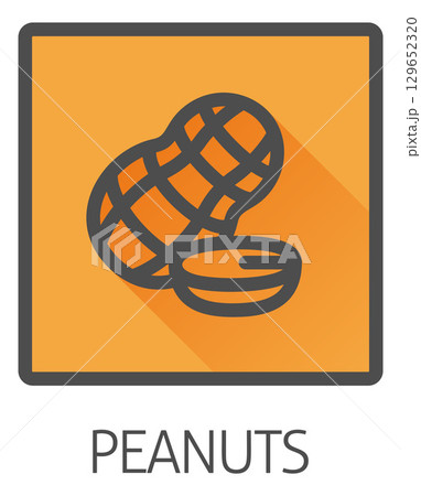 Peanut Nut Food Allergy Icon Concept Peanut Nut Food Allergy Icon Concept 129652320